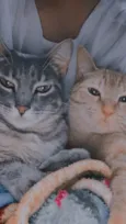 Mari e Baby