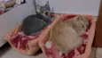 Mari e Baby