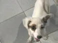 Menina
