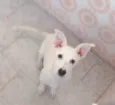 Barry