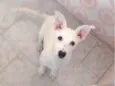 Barry