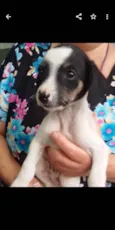 Nina