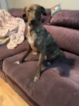 Bella