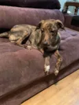 Bella