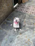 Masha 