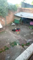 Mãezinha + 5 filhotes (sem nomes)