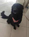 Mel