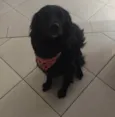 Mel