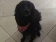 Mel