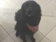 Mel