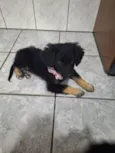 Aisha