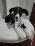 Tom