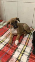Vitória