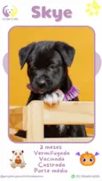 Skye