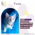 Fada