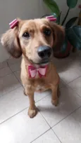 Lola