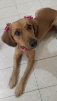 Lola