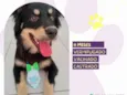 Oliver