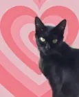 Peta 1aninho