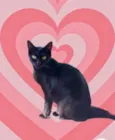 Peta 1aninho