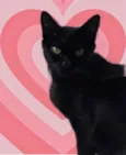 Peta 1aninho