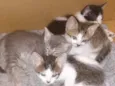 Sem nomes definidos