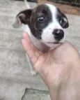 PRINCESA