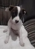 PRINCESA