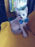 Sam