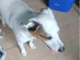 Banzé