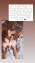 Ainda não tem nome