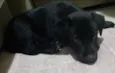 Odin