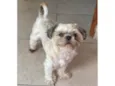 Fred