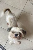 Fred