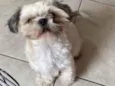 Fred