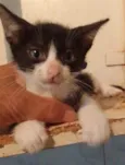 .....