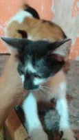 ......