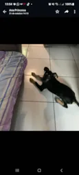 Marley