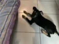 Marley