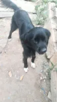 Max porte Pequeno 10 meses 