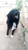 Max porte Pequeno 10 meses