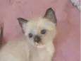 Peter