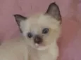 Peter