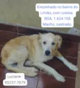 Sem nome