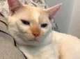 Zé