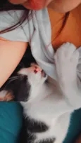 Apollo e Thomas