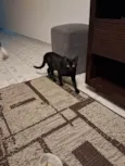 Lua e Mia