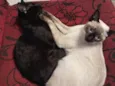 Lua e Mia
