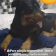 Bolt