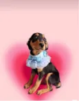 Lilly bb4meses linda 